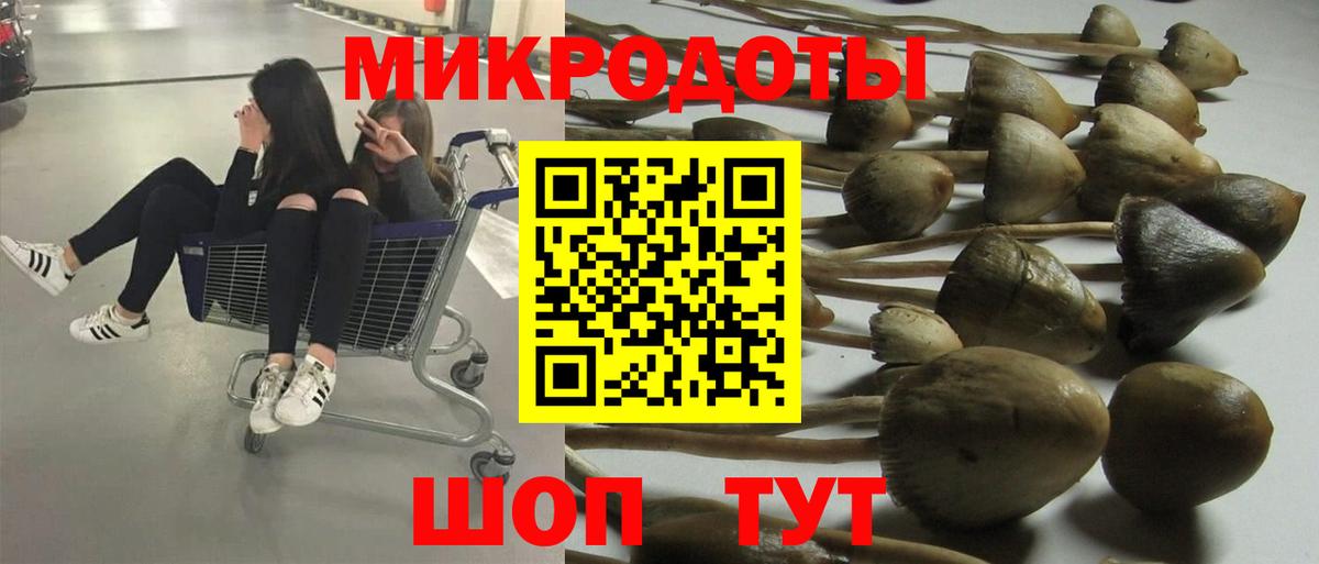 Вольск  Псилоцибиновые грибы Cubensis  Вход с VPN  Псилоцибиновые грибы Psilocybe 
